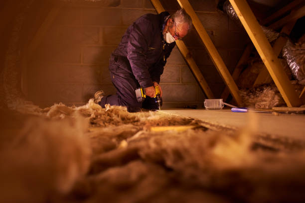 Best Insulation for Existing Homes  in USA